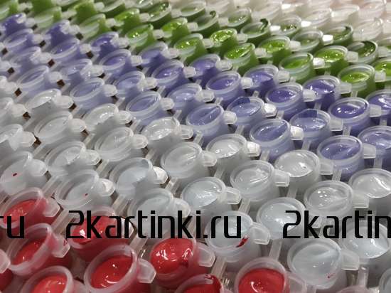 Картина по номерам 40x50 VA-1341 Жгучая брюнетка и яркие краски за 609 руб.  в интернет-магазине  Картина по номерам 40x50 Жгучая брюнетка и яркие краски