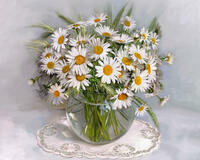 Без бренда «2KMA-0021» в Хабаровске