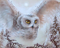 Без бренда «2KMB-3848» в Хабаровске