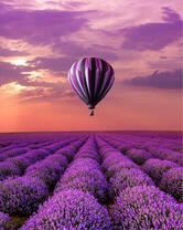 Без бренда «2KMB-4091» в Хабаровске