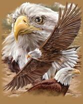 Без бренда «2KMB-4315» в Хабаровске