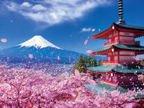 Без бренда «2KSB-7277» в Хабаровске