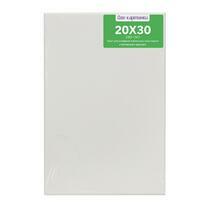 Без бренда «Коробка 80 шт.: Холст Две картинки на подрамнике 20X30» в Хабаровске