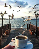 Без бренда «BOX20-2KMB-1952» в Хабаровске