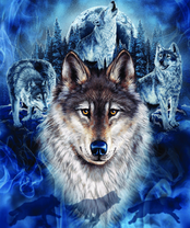 Без бренда «BOX40-2KXSB-0687» в Хабаровске