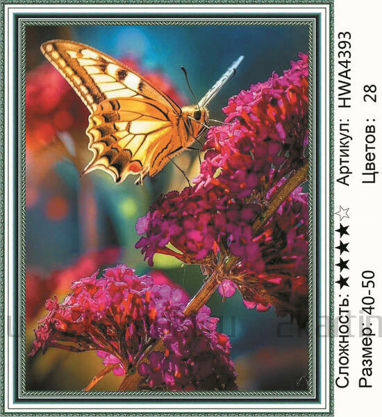 Алмазная мозаика 40x50 Бабочка на фиолетовых цветах
