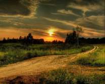 Без бренда «Проселочная дорога на закате» в Хабаровске