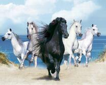 Вожак табуна