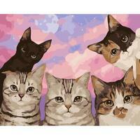 Без бренда «Такие разные котики» в Хабаровске