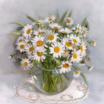 Без бренда «Букет свежих ромашек» в Хабаровске