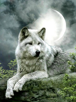 Без бренда «Коробка 25 шт. картин по номерам BOX25-GX21058» в Хабаровске в интернет-магазине  Без бренда «Коробка 25 шт. картин по номерам BOX25-GX21058» в Хабаровске