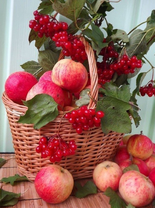 Без бренда «Коробка 25 шт. картин по номерам BOX25-GX5174» в Хабаровске