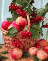 Без бренда «Плетёная корзина с калиной и яблоками» в Хабаровске