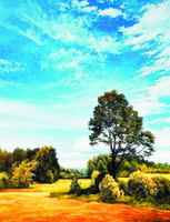 Без бренда «Осенний пейзаж с голубым небом» в Хабаровске в интернет-магазине  Без бренда «Осенний пейзаж с голубым небом» в Хабаровске