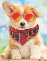 Щенок в очках и платочке