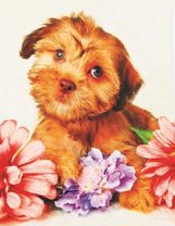 Маленький пушистый щенок среди цветов