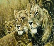 Семейство львов в африканской долине