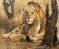 Два львёнка и лев в африканской саванне